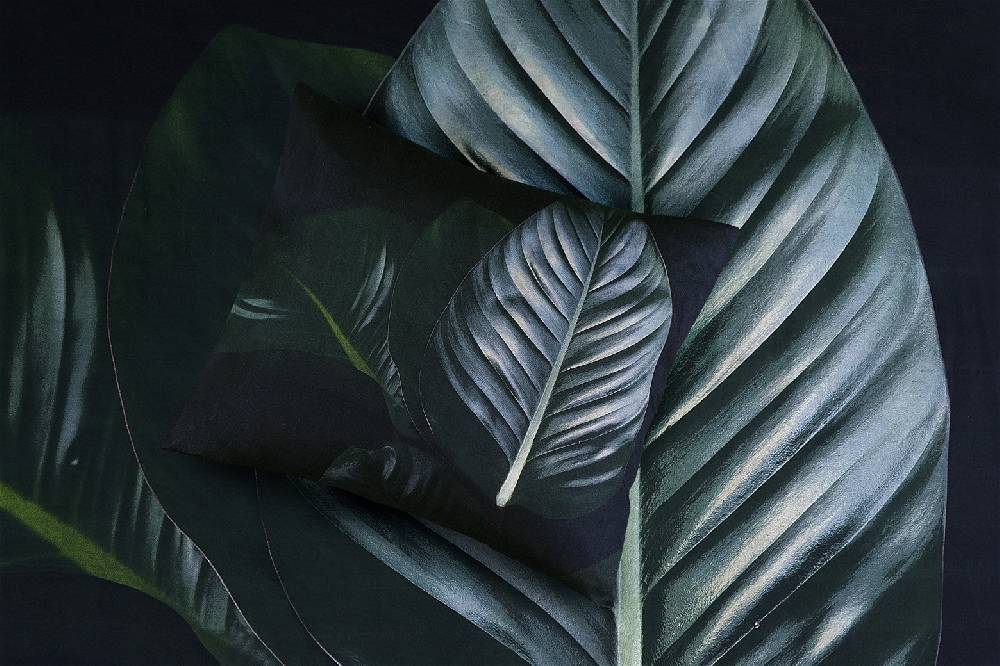 Kayoom Bettwäsche Tropical 125-DE Flash Sale