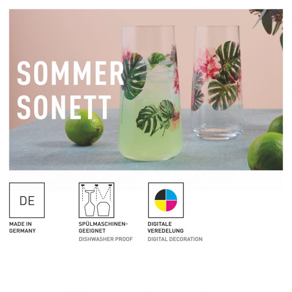 Ritzenhoff Sommersonett UNIVERSALGLAS-SET F24 Lagerräumung