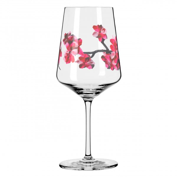 Ritzenhoff Sommersonett APERITIFGLAS-SET #11, #12 Tägliche Deals