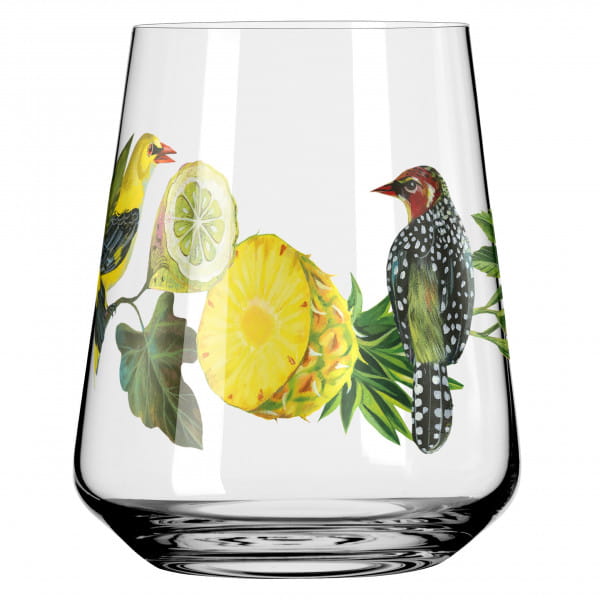 Ritzenhoff Sommertau UNIVERSALGLAS-SET #1, #2 Black Friday