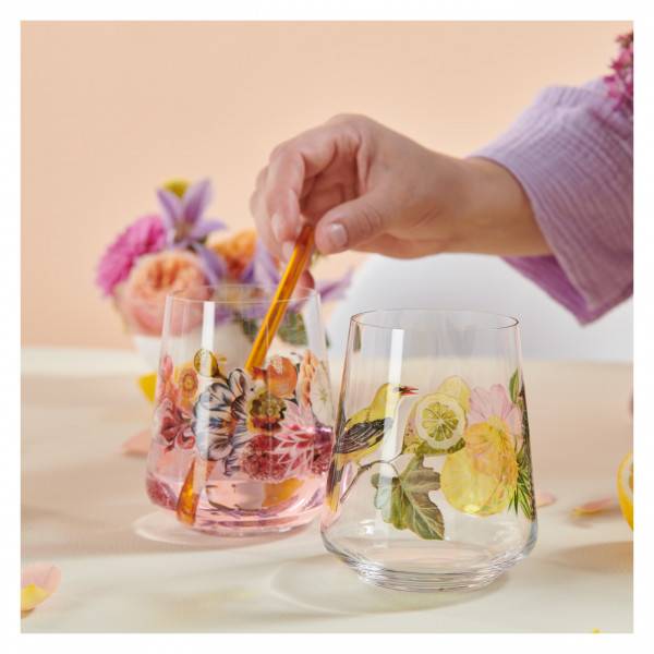 Ritzenhoff Sommertau UNIVERSALGLAS-SET #1, #2 Black Friday